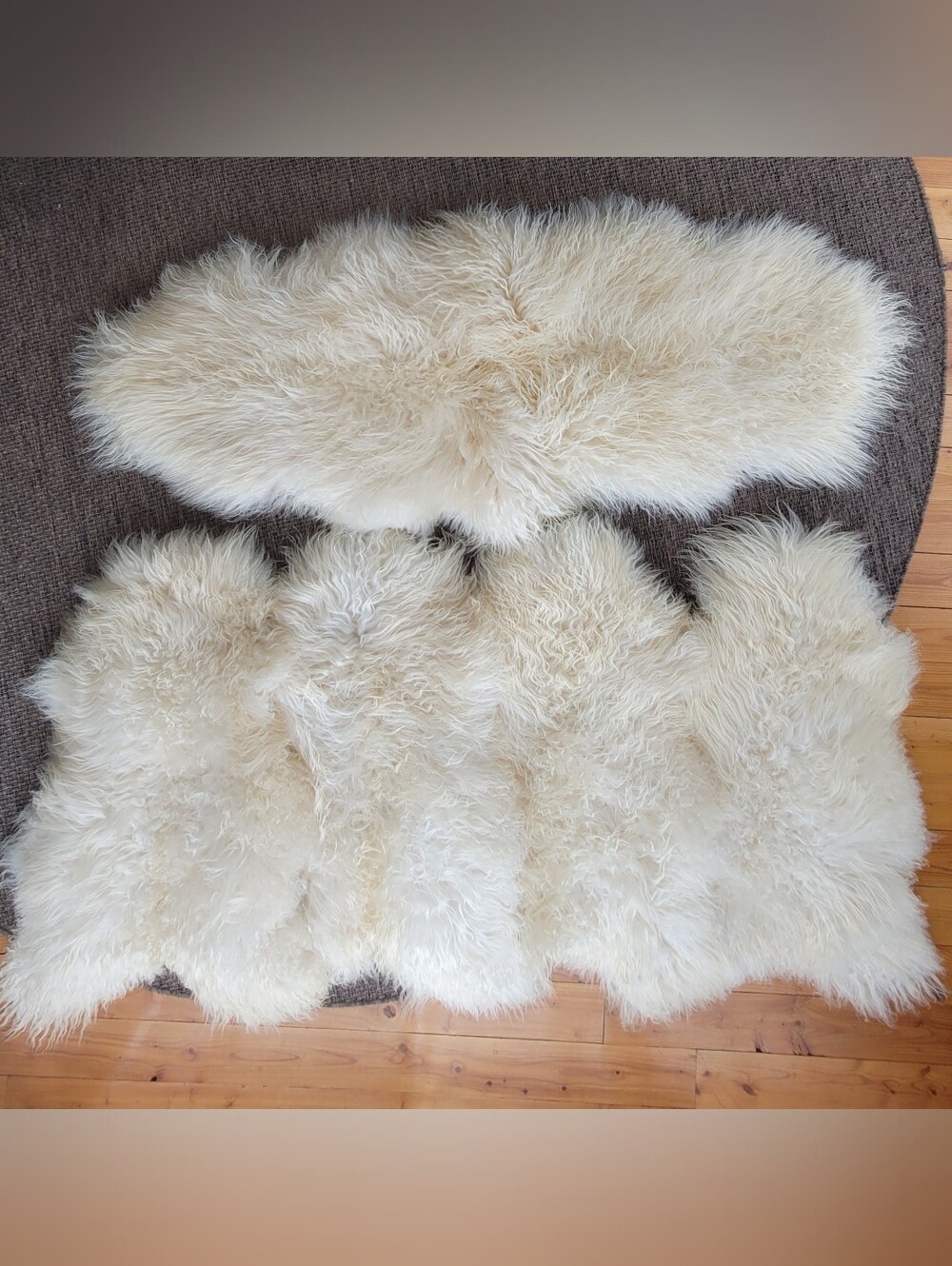 6 (Set) Natural Cream Icelandic Culy Wool Sheepskins